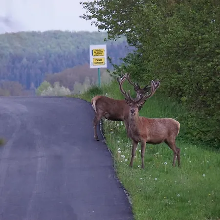 Wegfreiheit I Apartamento