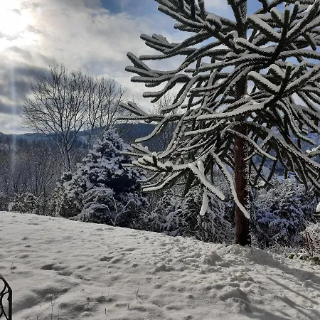 Wegfreiheit I 锡默拉特