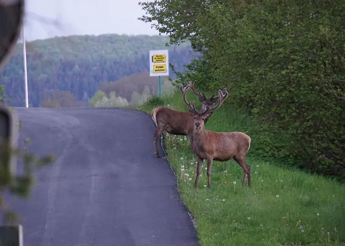 Wegfreiheit I דירה